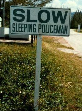 Slow Policier au repos
