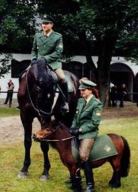 Equins