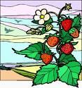 Fraise