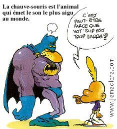 Chauve Souris